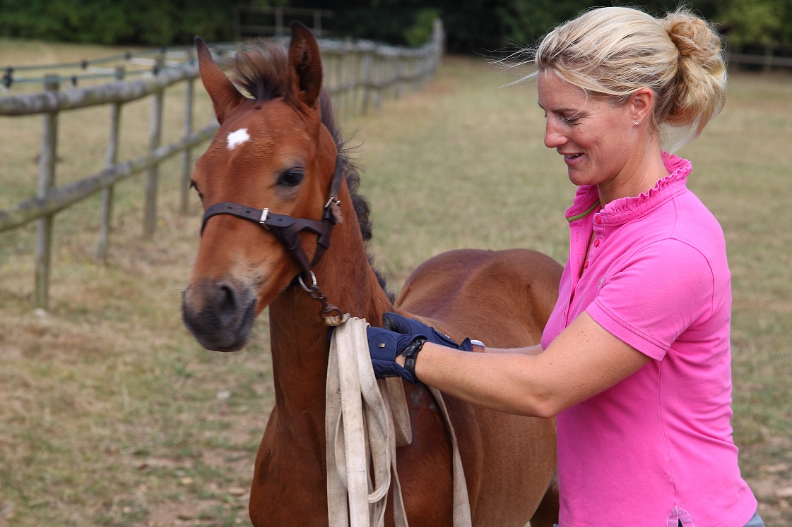 Horses Lisa Keys Eventing